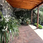 Mi Rincon בית נופש