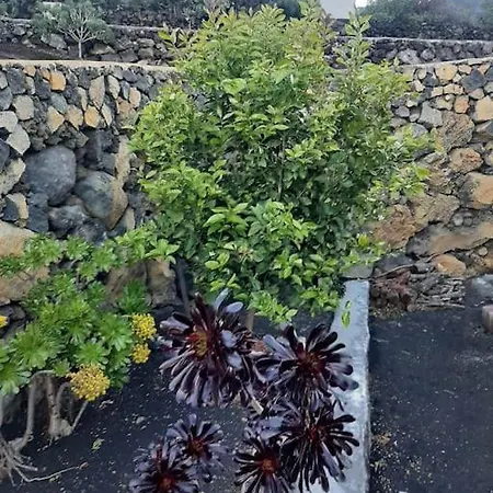 בית נופש Mi Rincon *